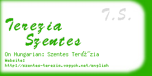 terezia szentes business card